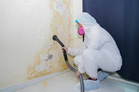 Biohazard Mold Removal in Rochester, NH